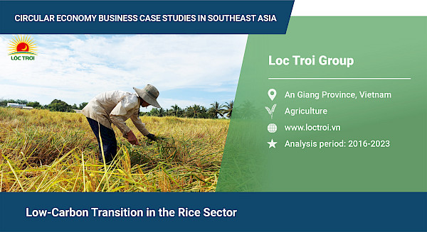 Low-carbon transition in the rice sector