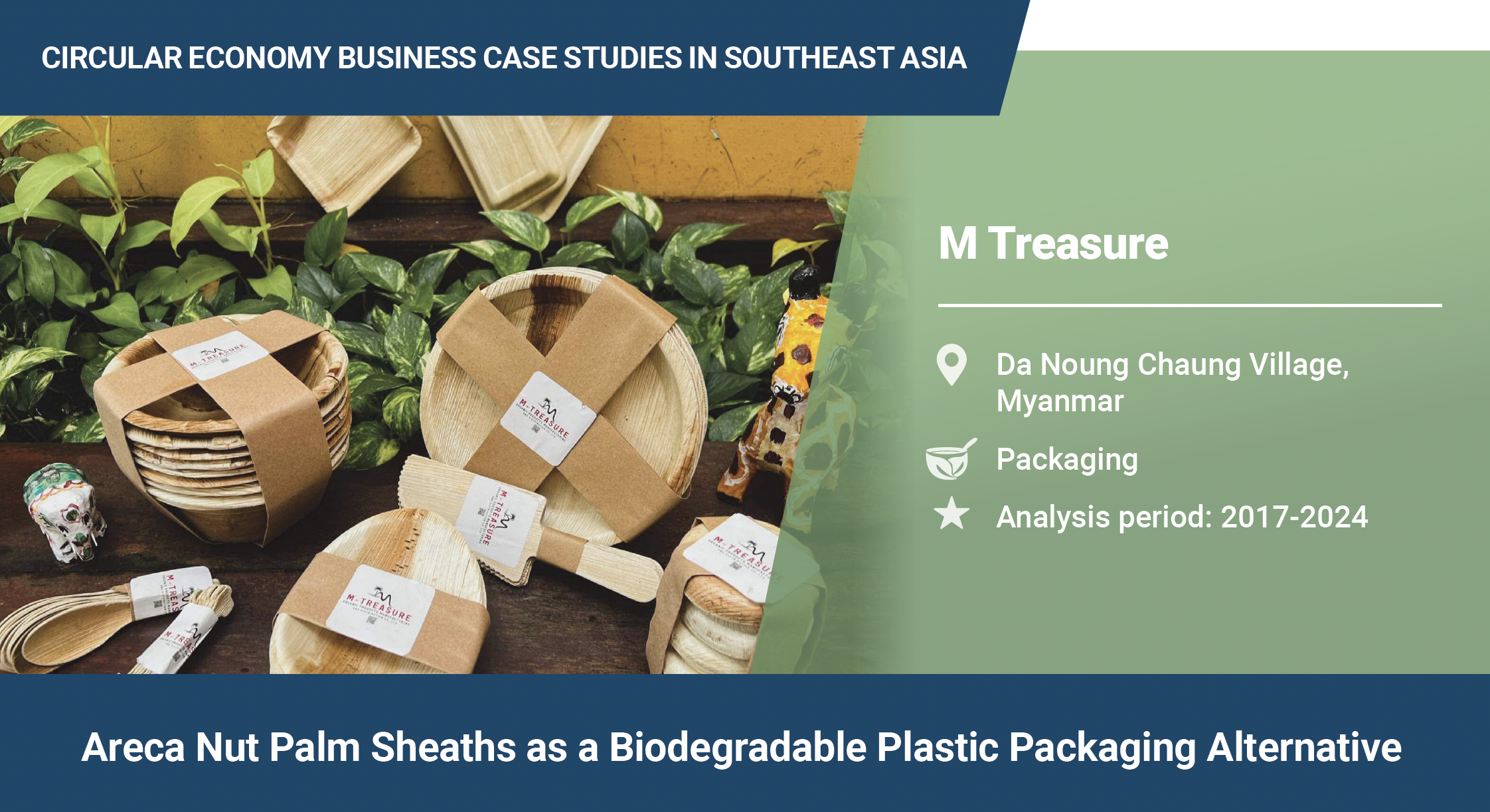Areca Nut Palm Sheaths as a Biodegradable Plastic Packaging Alternative